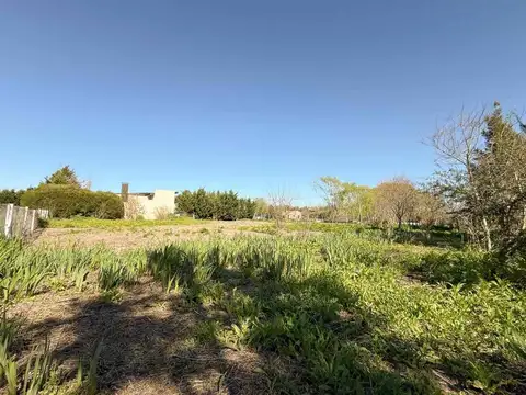 Terreno en Venta de 1000,0 m2