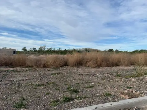 Terreno en Venta de 445,0 m2