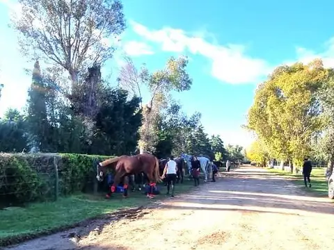 Casa en Alquiler con 3 cocheras