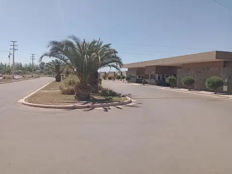 vista Oliva