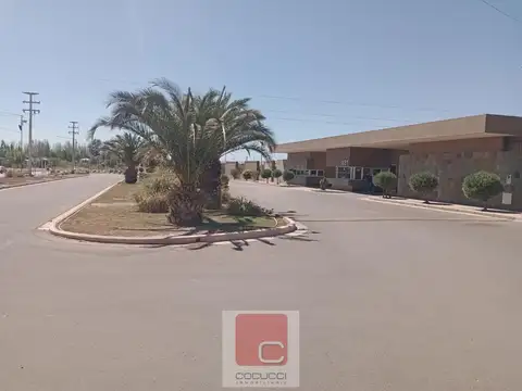vista Oliva