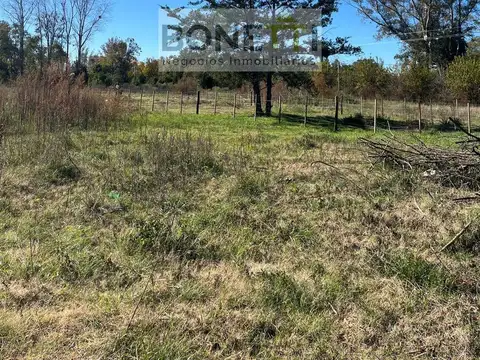 Terreno en venta en Mercedes, con arboleda