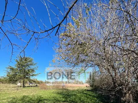 Terreno en venta en Mercedes, con arboleda