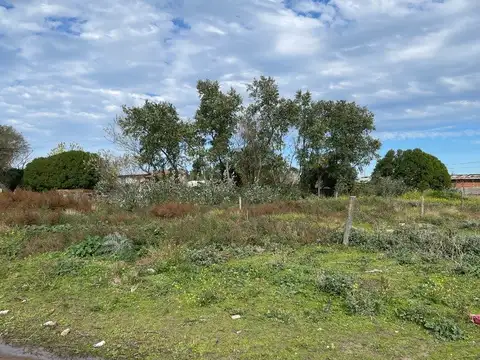 Terreno en Venta de 300,0 m2