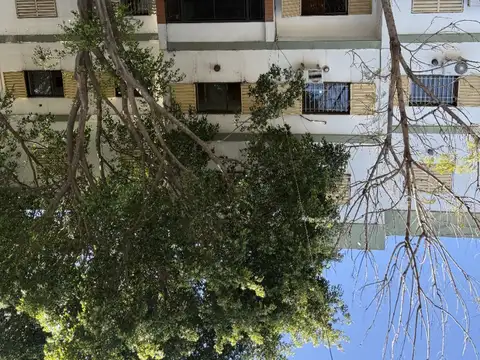 25 De Mayo 500, Piso 1