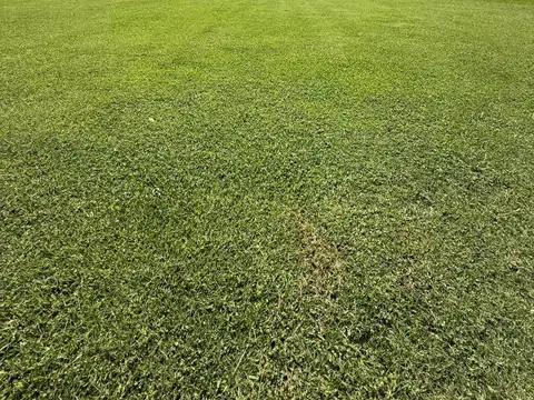 Ejército de Los Andes y El Tropero