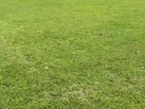 Ejército de Los Andes y El Tropero