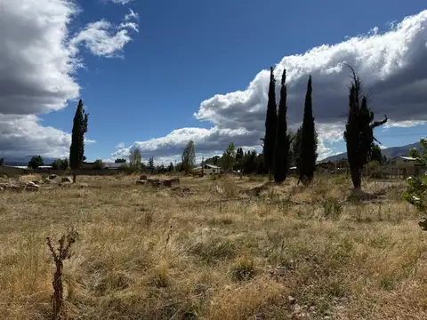 Hectarea en Trevelin