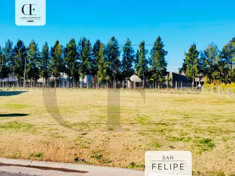 Terreno en Venta de 655,0 m2