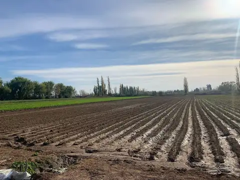 Calle 9 de Julio 11500