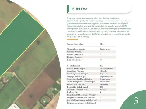 Campo 45 ha sobre ruta 21- Pavón, Santa fe.