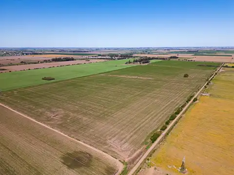 45 HAS Pavón, Santa fe.