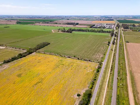 Campo 45 ha sobre ruta 21- Pavón, Santa fe.