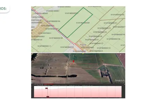 45 HAS Pavón, Santa fe.