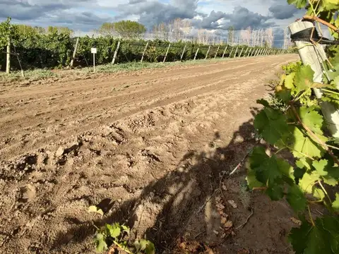 Venta de Finca 15 Ha, Casa, Galpon, en produccion