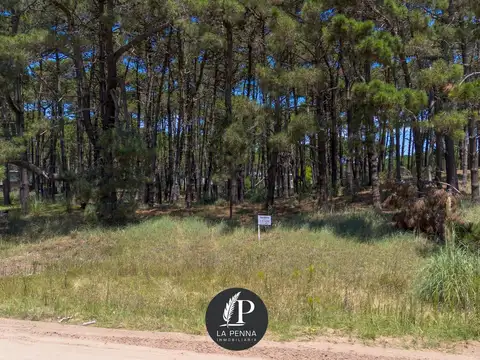 Terreno en Venta 30  mts Frente