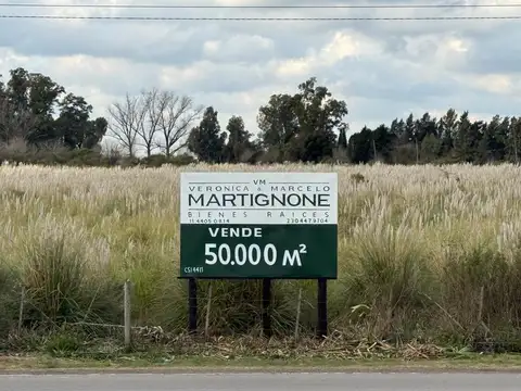 5 Has. Industriales En Venta En Colectora Ruta 8