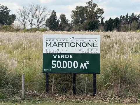 5 Has. Industriales en venta sobre colectora Autovía, Ruta 8