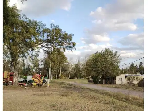 Domingo French y Juan Vucetich