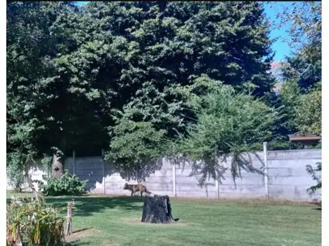 SE VENDE ESTA HERMOSA CASA QUINTA  FLORENCIO VARELA