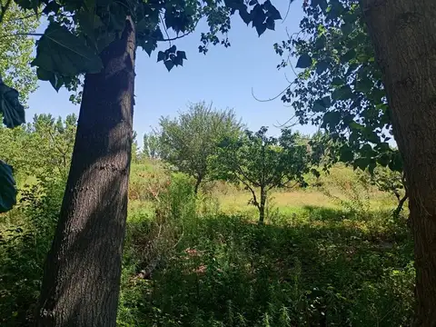 Terreno en Venta de 80000,0 m2