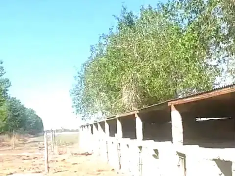 Terreno en Venta de 80000,0 m2
