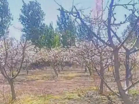VENTA DE FINCA 8 HS EN LAS HERAS, MENDOZA