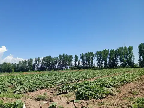 Ruta Nacional 40