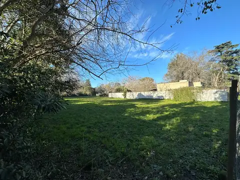 Terreno en Venta 50  mts Frente