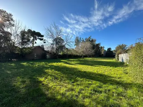 TERRENOS/FRACCIONES/LOTEOS - TERRENOS - INGENIERO MASCHWITZ, GRAN BS. AS. NORTE