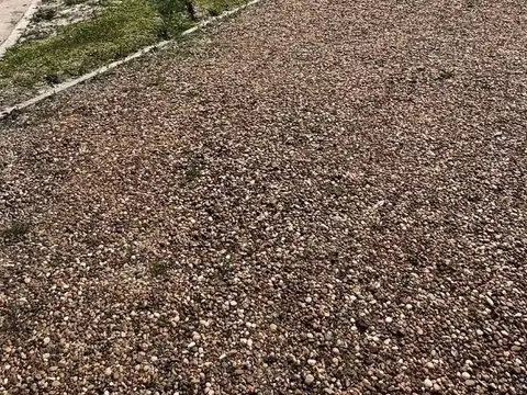 Los Domingos