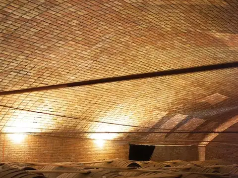 VENTA PARCELAS DE VID RAMA CAIDA SAN RAFAEL MDZ