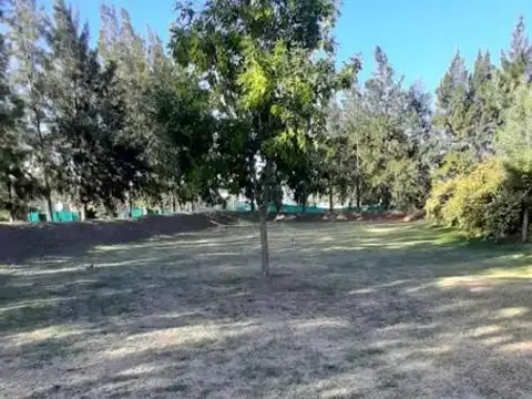 Terreno en Venta 49  mts Fondo