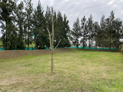 Terreno en Venta 20  mts Frente