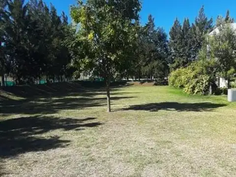 Terreno en Venta de 991,0 m2