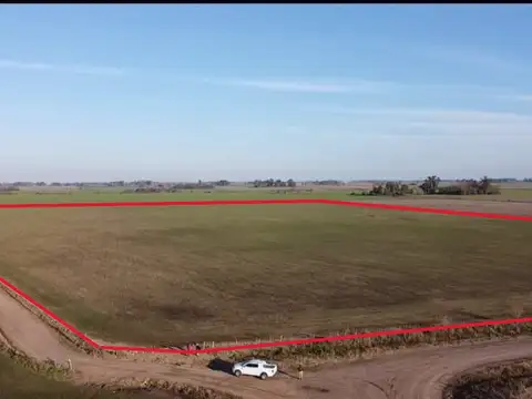 Campo de 16 has agrícolas en venta en Villa Ruiz – Pdo. San Andrés de Giles