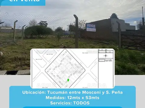Amplio lote sobre calle asfaltada con todos los servicios