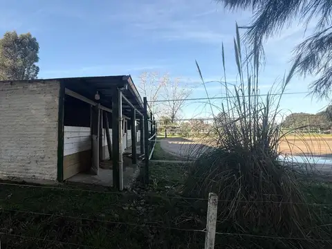 VENTA DE TERRENO INTERNO DE 800 MT2 EN CASUARINAS