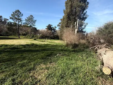 Terreno en Venta de 800,0 m2