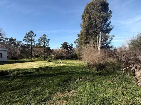 VENTA DE TERRENO INTERNO DE 800 MT2 EN CASUARINAS