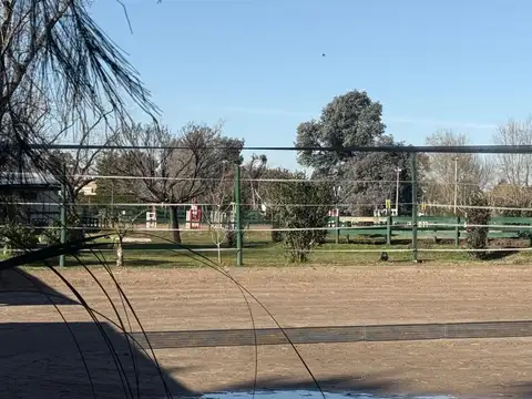 Casuarinas 1
