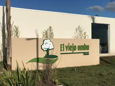 El Viejo Ombu