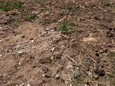 Terreno en Venta de 302,0 m2