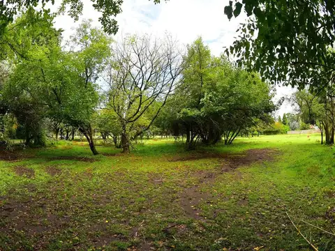 Terreno en Venta de 943,0 m2