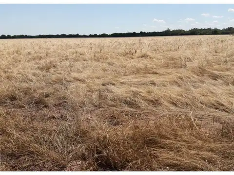 Embarcación. Paraje Padre Lozano. RP Nº 53. Km 100