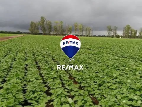 FINCA VENTA EMBARCACION SUSTENTABLE 2634 HA