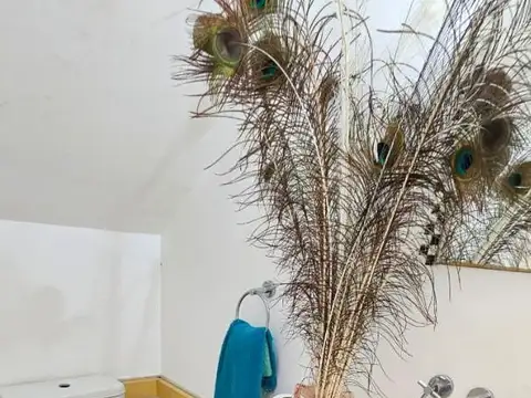 Depto Tipo Casa en Alquiler 8 años