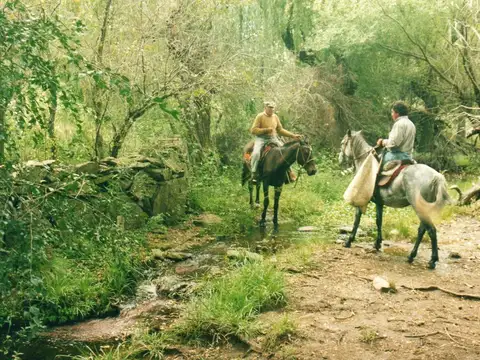 Campo en Cordoba Mina Clavero