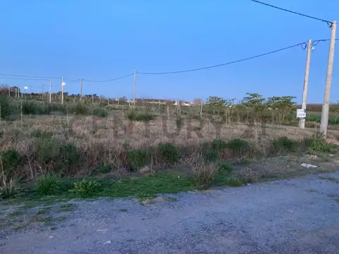 625 131 y 135 Lote en venta en Arana