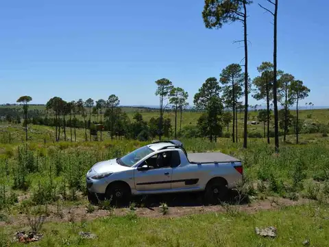 Terreno en Venta de 150000,0 m2